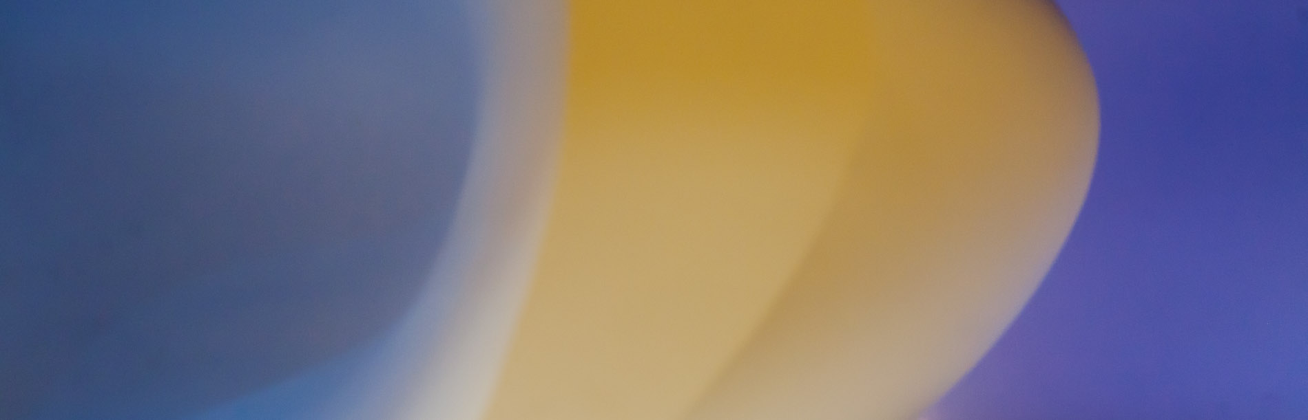 Details from a model by Bill Massey's studio, American Academy of Arts and Letters