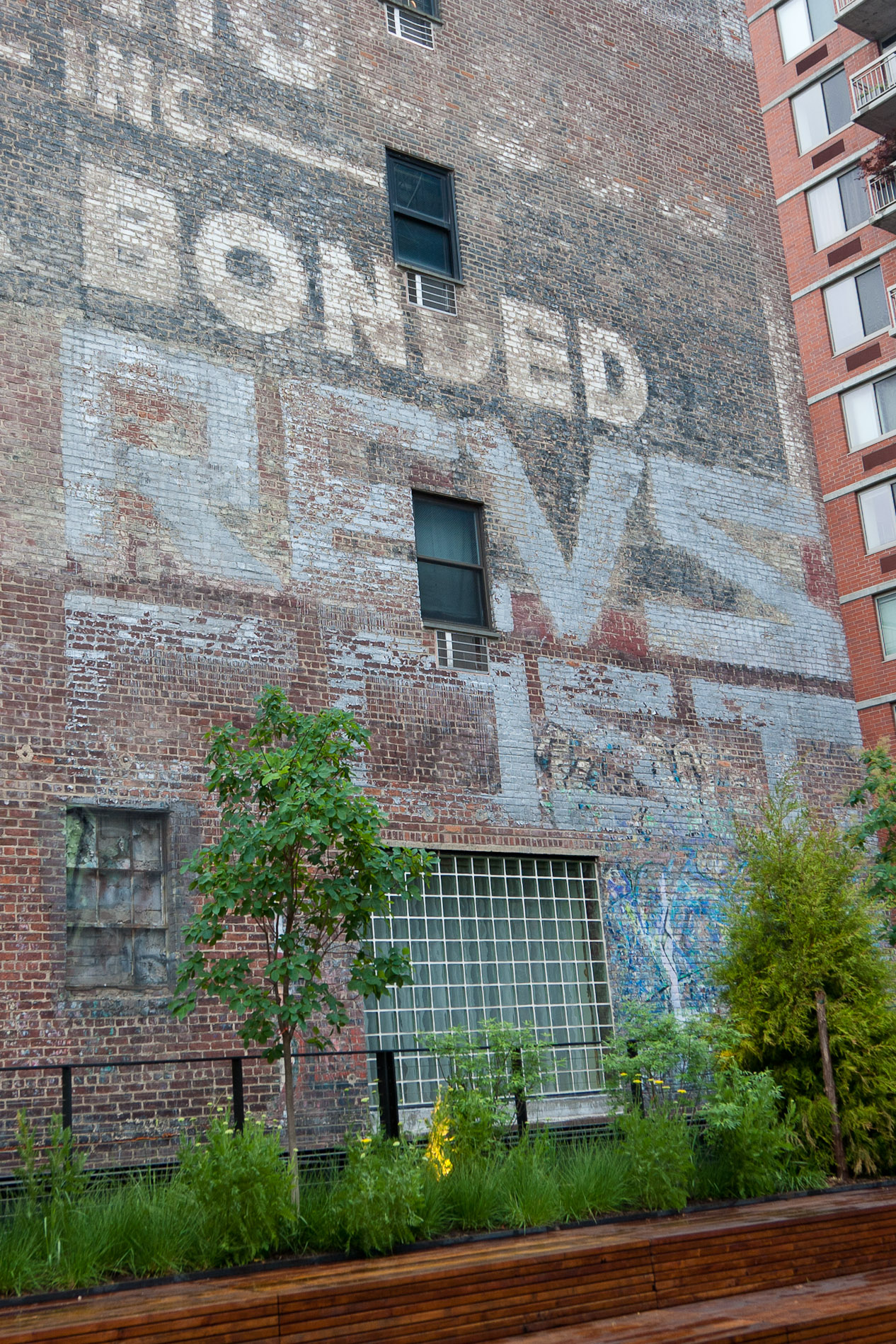 On the High Line, NYC